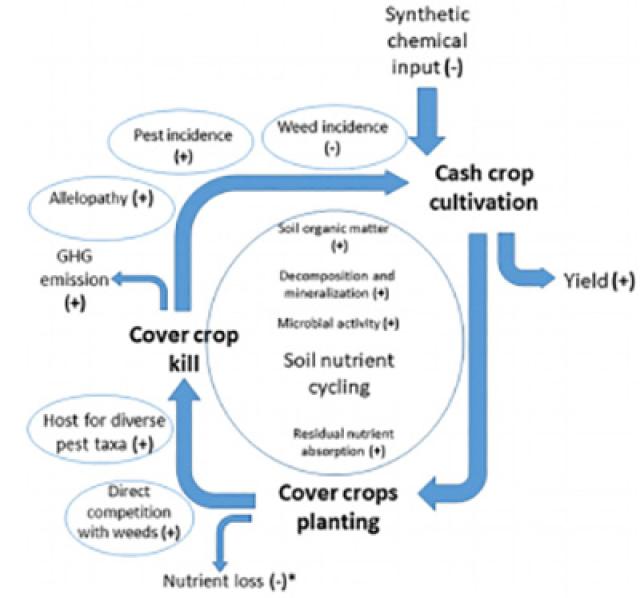 20180702153049171938101520.jpg 2-ESR新闻稿--学部实验室701.jpg